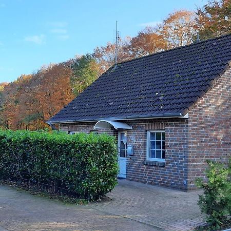 "Am Waldesrand" Re16 Villa Sögel Kültér fotó